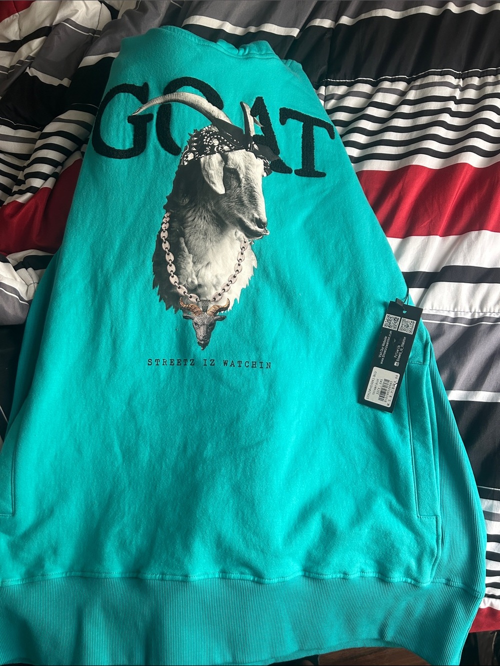 GOAT Graphic Hoodie - Teal